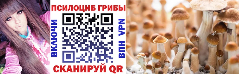 Галлюциногенные грибы прущие грибы Кемь